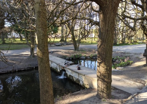 Water sampling – Park Oliwski, Gdańsk