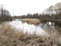 Park Reagana, Gdańsk – water sampling