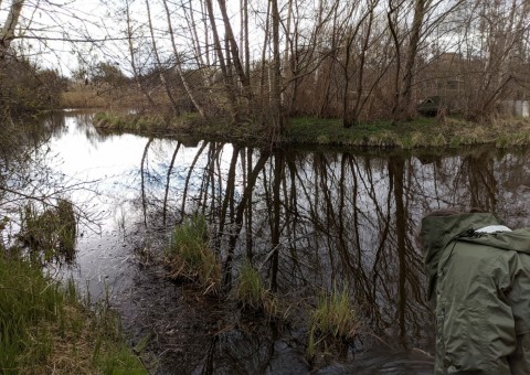 Water sampling - Park Reagana, Gdańsk