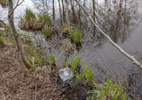 Water sampling - Park Reagana, Gdańsk