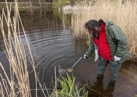 Water sampling - Park Reagana, Gdańsk