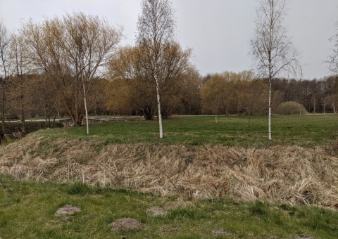 Water sampling - Park Reagana, Gdańsk