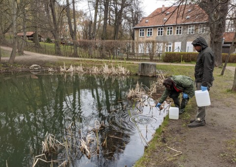 Water sampling – Królewska Dolina, Gdańsk