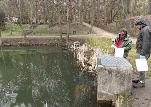 Water sampling – Królewska Dolina, Gdańsk