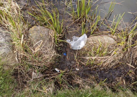 Water sampling – Obłuże, Gdynia