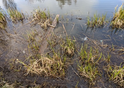 Water sampling – Obłuże, Gdynia