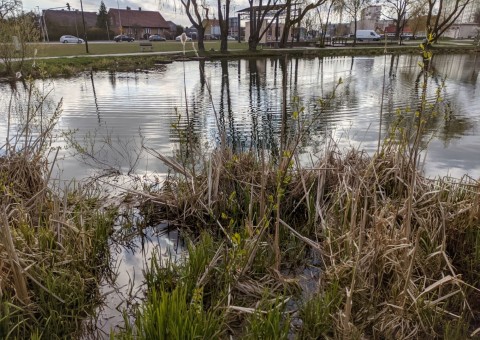 Water sampling – Obłuże, Gdynia