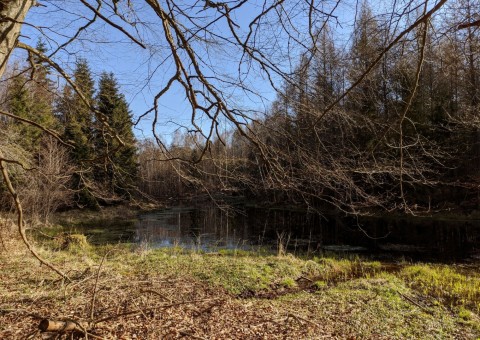 Water sampling – Ząbrsko Górne area (commune Przywidz)