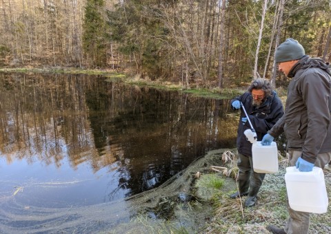 Water sampling – Ząbrsko Górne area (commune Przywidz)