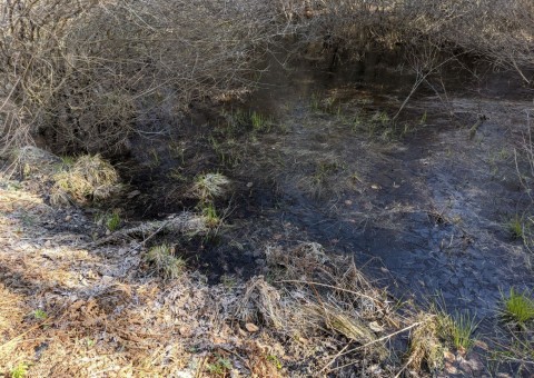 Water sampling – Ząbrsko Górne area (commune Przywidz)