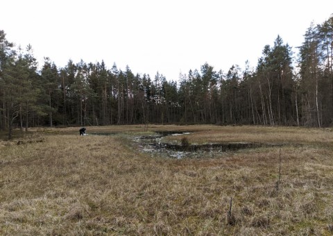 Pobieranie prób wody – Kaliska area (commune Kartuzy)