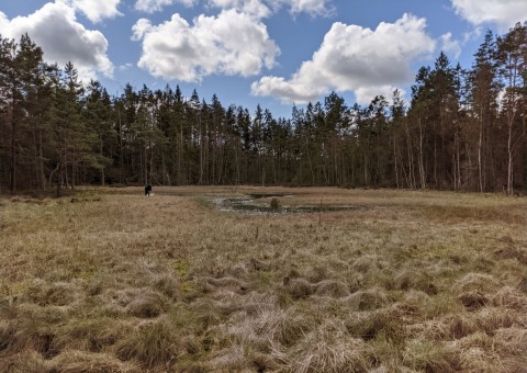 Pobieranie prób wody – Kaliska area (commune Kartuzy)