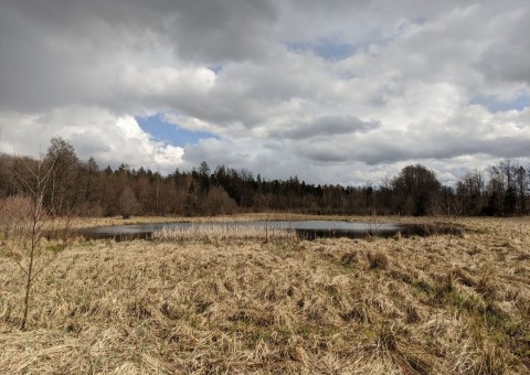 Water sampling – Borcz area (commune Somonino)