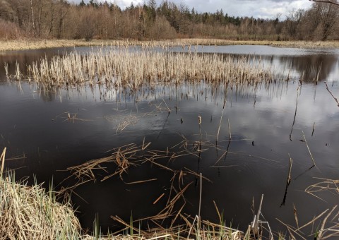 Water sampling – Borcz area (commune Somonino)