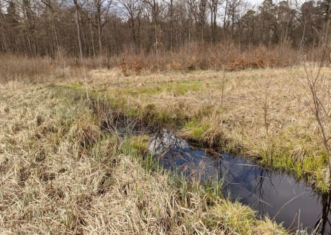 Water sampling – Borcz area (commune Somonino)