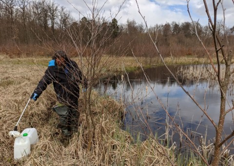 Water sampling – Borcz area (commune Somonino)