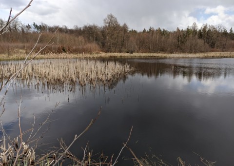 Water sampling – Borcz area (commune Somonino)