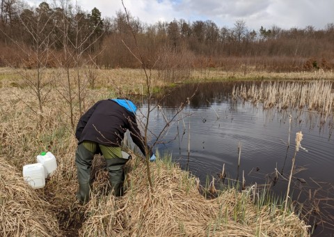 Water sampling – Borcz area (commune Somonino)