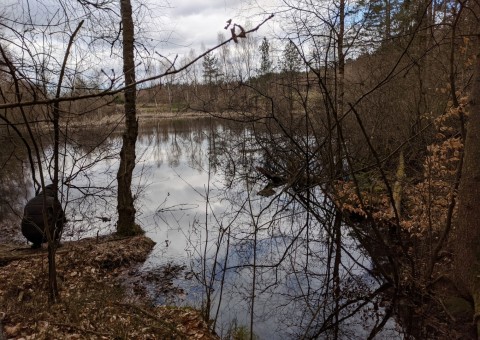 Water sampling – Przetoczyno area (Tricity Landscape Park)