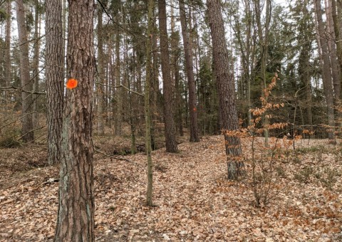 Water sampling – Przetoczyno area (Tricity Landscape Park)