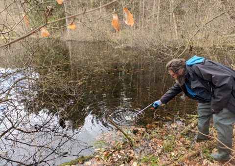 Water sampling – Przetoczyno area (Tricity Landscape Park)