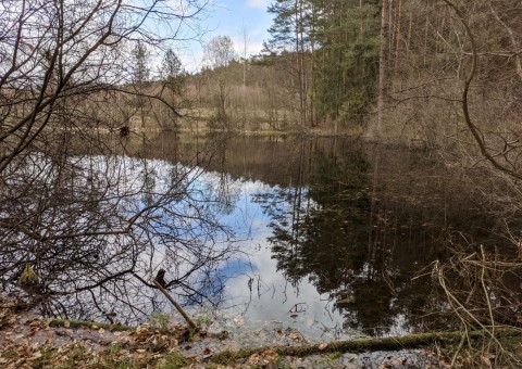 Water sampling – Przetoczyno area (Tricity Landscape Park)