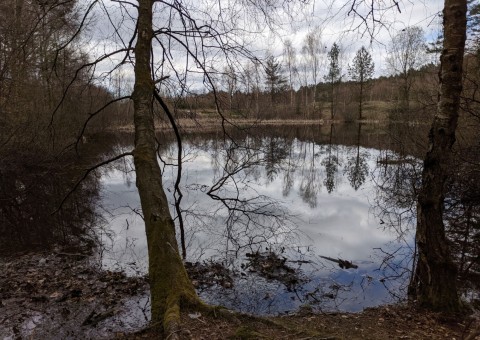 Water sampling – Przetoczyno area (Tricity Landscape Park)