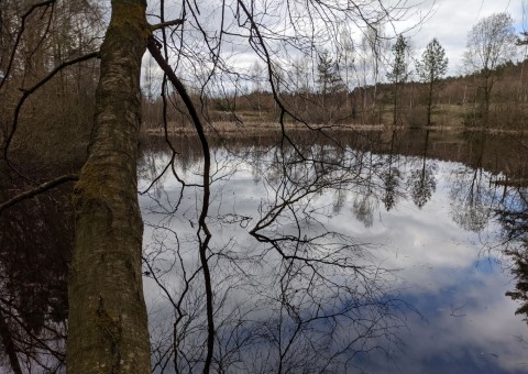 Water sampling – Przetoczyno area (Tricity Landscape Park)