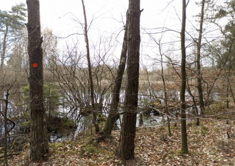 Water sampling – Przetoczyno area (Tricity Landscape Park)