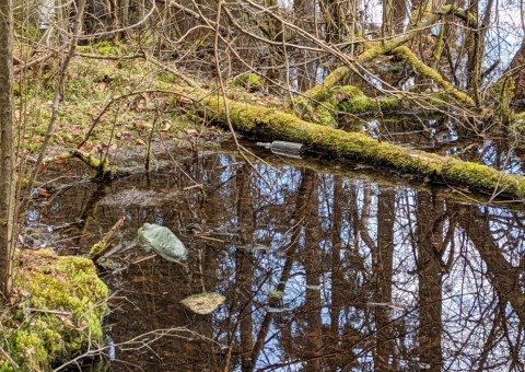 Water sampling – Przetoczyno area (Tricity Landscape Park)