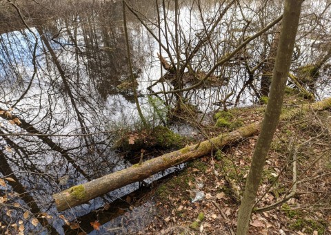 Water sampling – Przetoczyno area (Tricity Landscape Park)