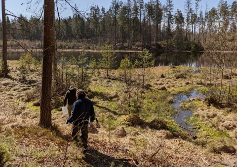 Water sampling – Szemud area (commune Szemud)