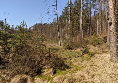 Water sampling – Szemud area (commune Szemud)