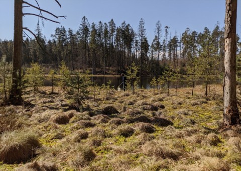 Water sampling – Szemud area (commune Szemud)