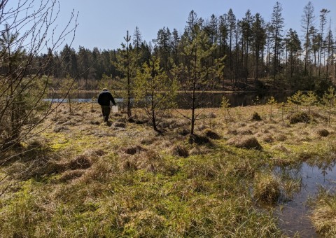 Water sampling – Szemud area (commune Szemud)