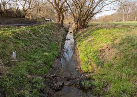 Water sampling – 'Nad Jasieniem' Park, Łódź