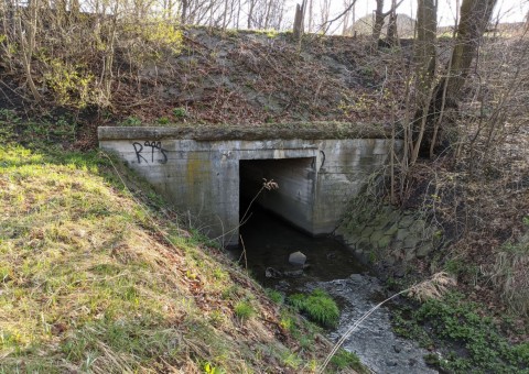 Water sampling – 'Nad Jasieniem' Park, Łódź