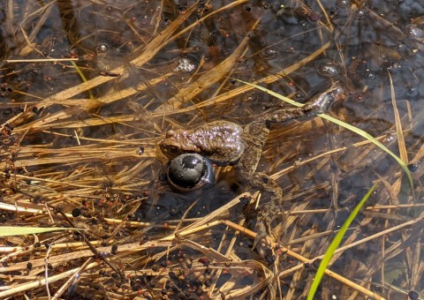 Water sampling – Stoki, Łódź