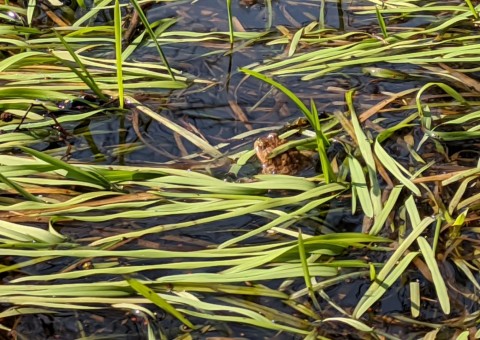 Water sampling – Stoki, Łódź