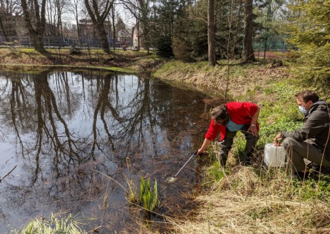 Water sampling – Stoki, Łódź