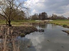 The Wasiak Pond, Łódź – water sampling