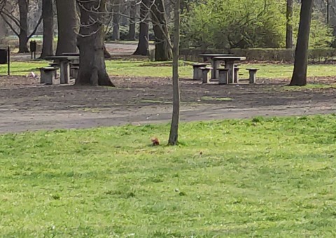 Water sampling – The Prince Józef Poniatowski Park, Łódź