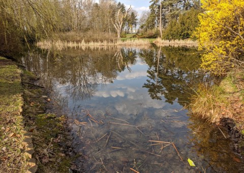 Water sampling – The Prince Józef Poniatowski Park, Łódź