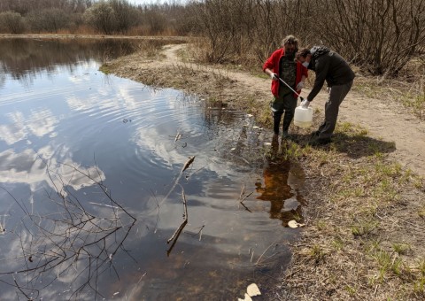 Water sampling – Majerowskie Błota, Łódź