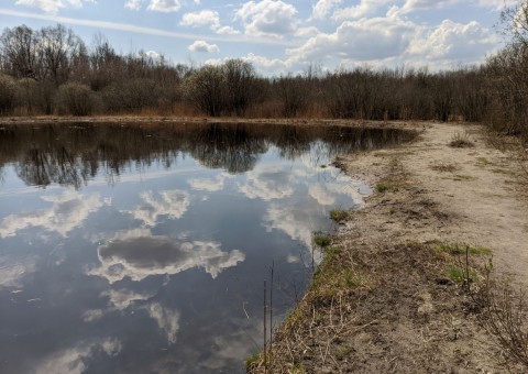 Water sampling – Majerowskie Błota, Łódź