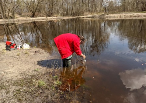 Water sampling – Majerowskie Błota, Łódź