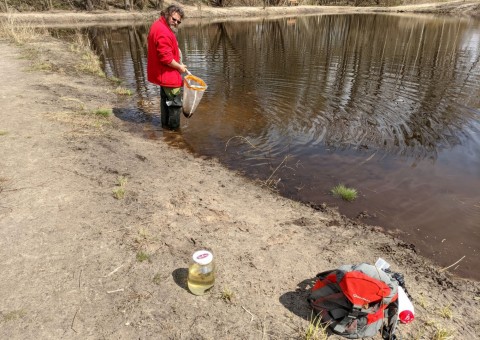 Water sampling – Majerowskie Błota, Łódź