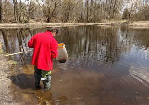 Water sampling – Majerowskie Błota, Łódź