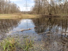 Olechów (EC4), Łódź – water sampling