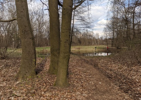 Water sampling – Olechów (EC4), Łódź